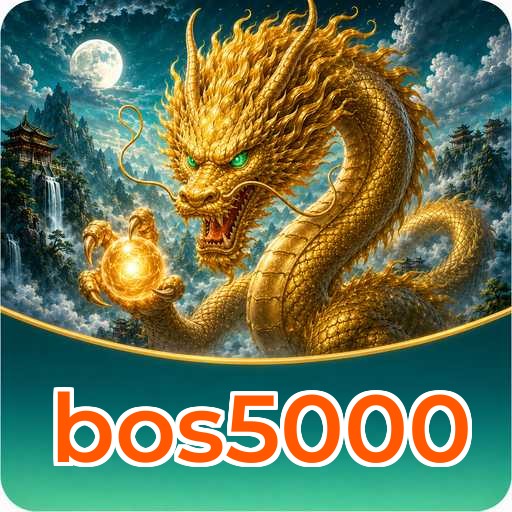 Permissions bos5000